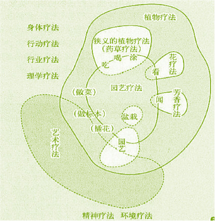 【防疫科普】如何利用園藝療法保持復工后身心健康？