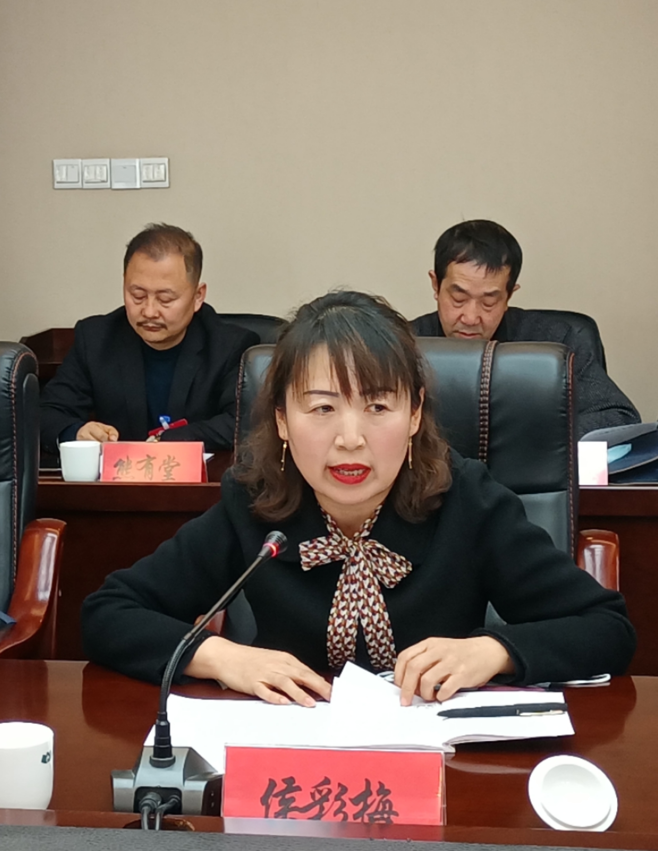 侯彩梅委員在討論發(fā)言時就規(guī)范農村中小學體育教學提出了建議。