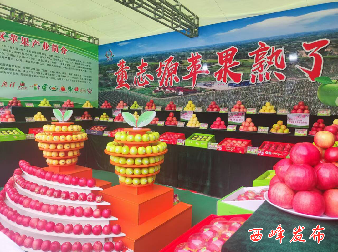 品鑒營(yíng)銷展特色 學(xué)習(xí)交流促發(fā)展——西峰區(qū)組團(tuán)參加2024年中國(guó)蘋果年會(huì)暨慶陽蘋果商貿(mào)洽談會(huì)