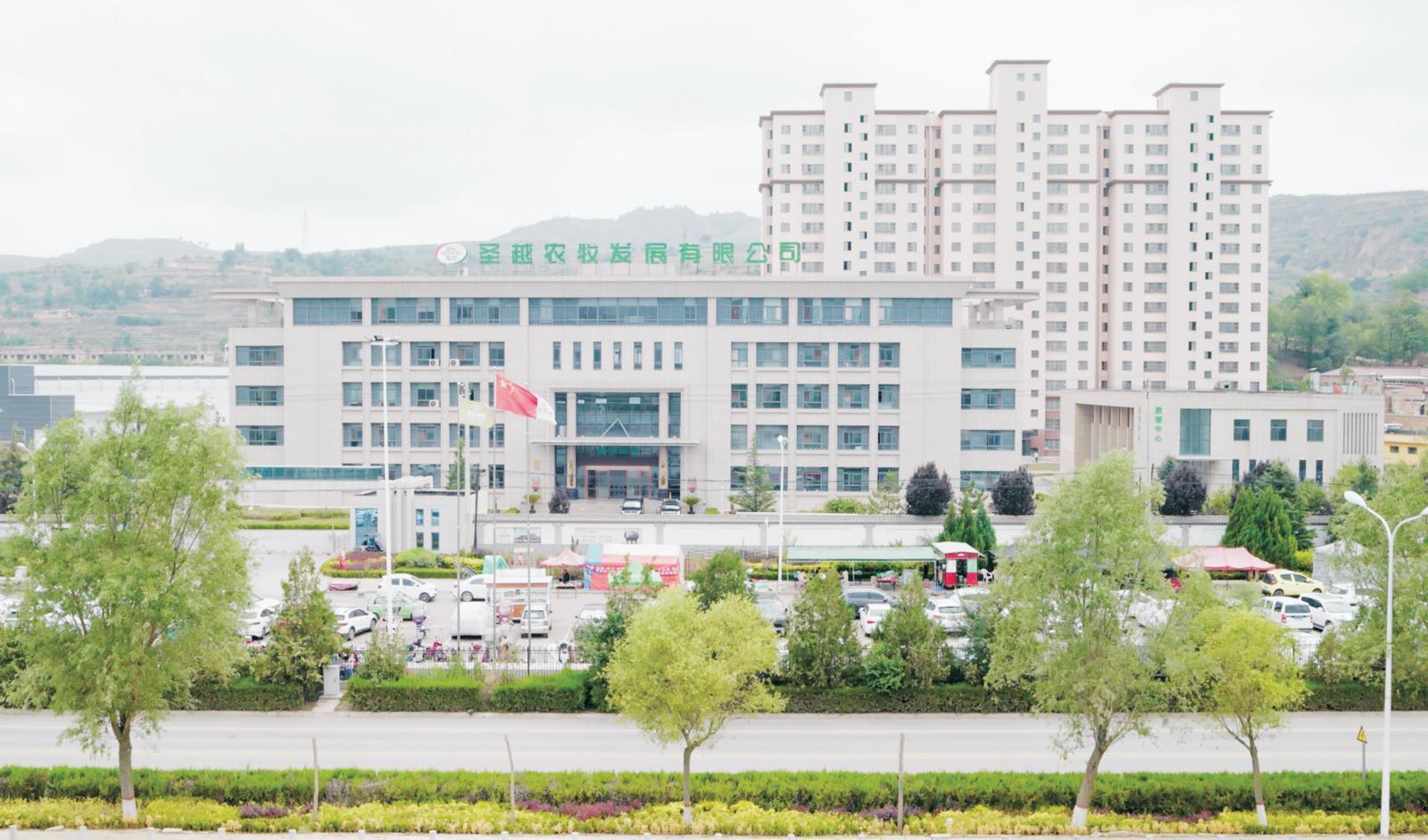 【2024慶陽民營企業(yè)20強(qiáng)風(fēng)采錄(1)】甘肅圣越農(nóng)牧發(fā)展有限公司