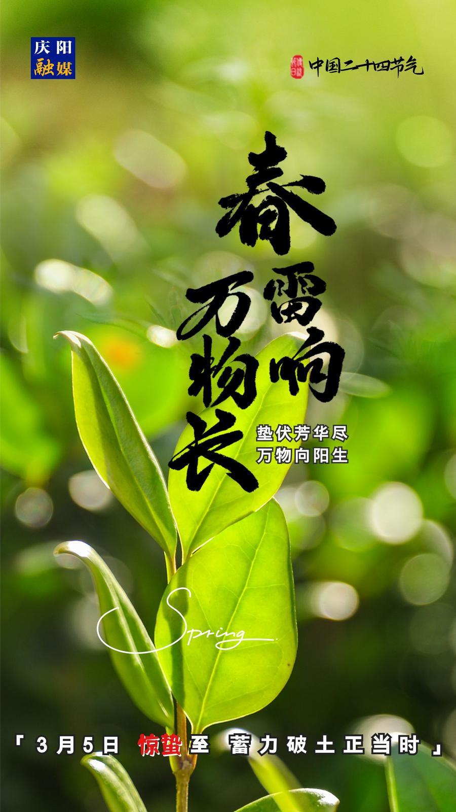 【微海報(bào)】二十四節(jié)氣丨驚蟄至，蓄力破土正當(dāng)時(shí)