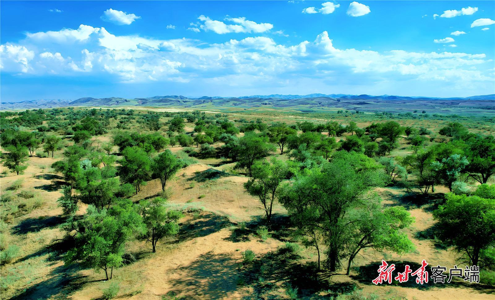 【建設(shè)美麗甘肅 推進(jìn)“三北”工程 構(gòu)筑“綠色長(zhǎng)城”】古浪：譜寫(xiě)綠色篇章 繪就生態(tài)畫(huà)卷